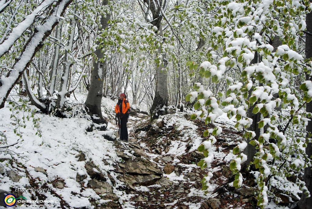 7 - Marisa nel bosco.JPG